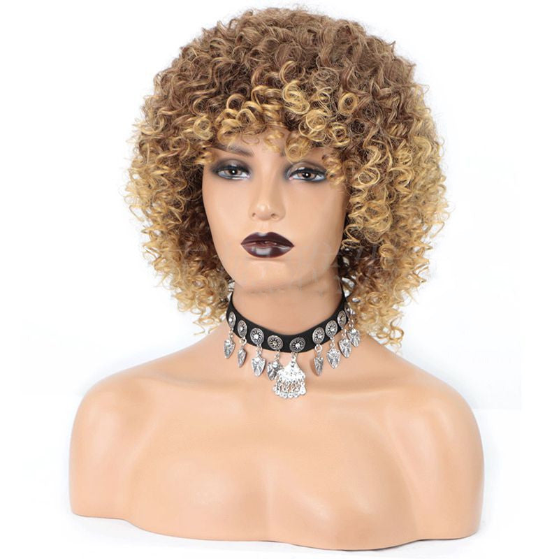 Cross-Border Wigs European And American Fashion African Small Curly Ladies Wigs Headgear Wig African Explosive Head - SHIFRAH NERIAH BEAUTY