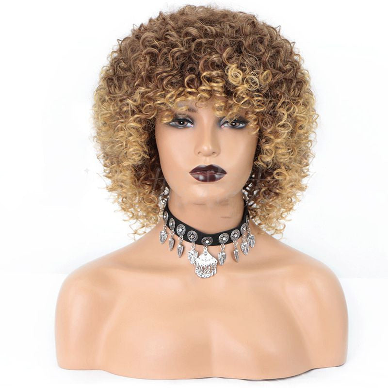 Cross-Border Wigs European And American Fashion African Small Curly Ladies Wigs Headgear Wig African Explosive Head - SHIFRAH NERIAH BEAUTY