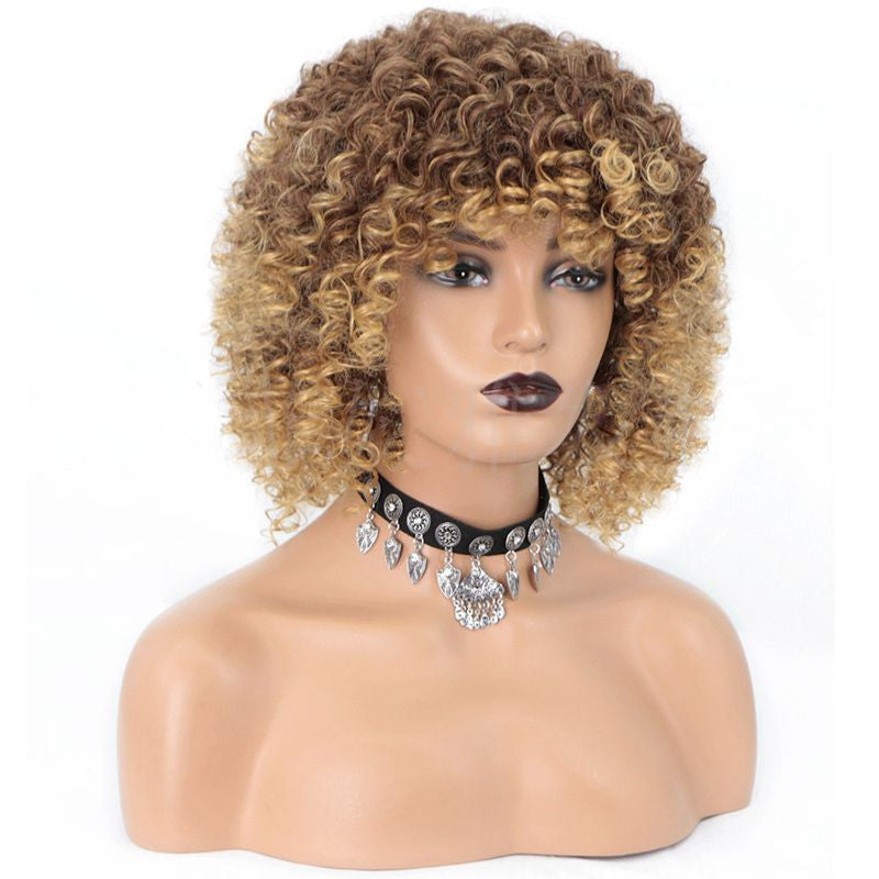 Cross-Border Wigs European And American Fashion African Small Curly Ladies Wigs Headgear Wig African Explosive Head - SHIFRAH NERIAH BEAUTY