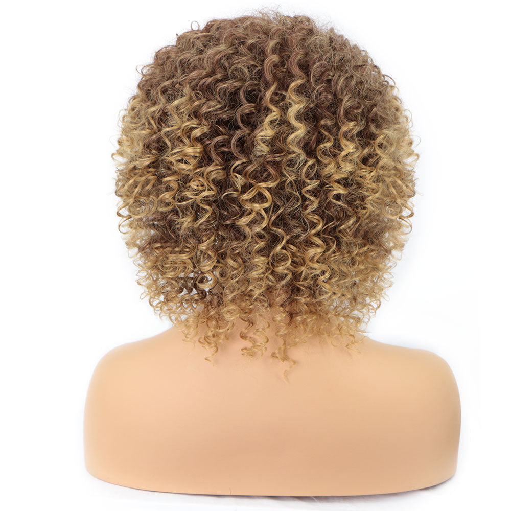 Cross-Border Wigs European And American Fashion African Small Curly Ladies Wigs Headgear Wig African Explosive Head - SHIFRAH NERIAH BEAUTY